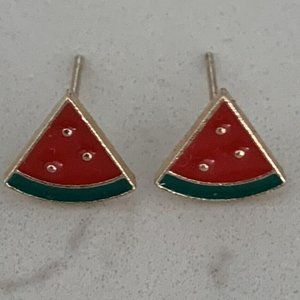 Tiny Cute Watermelon Slice Stud earrings!